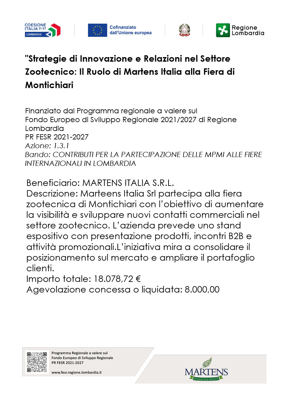 poster del progetto