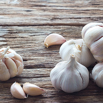 Aglio, principio attivo naturale nei prodotti Martens Italia